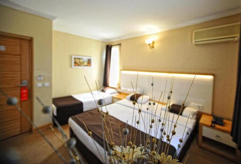 اتاق استاندارد, Horon