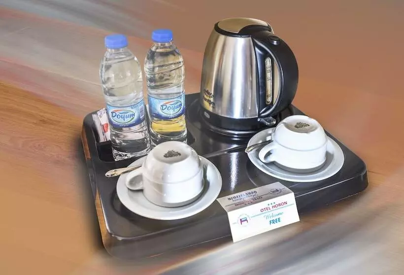 اتاق استاندارد یک نفره, Horon