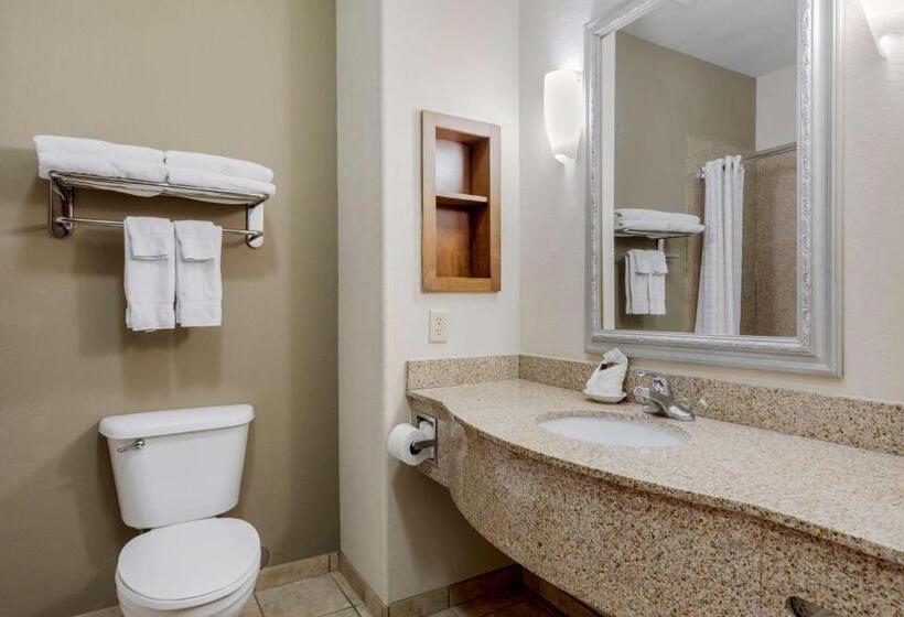 스탠다드 룸, Best Western Plus Sweetwater Inn & Suites