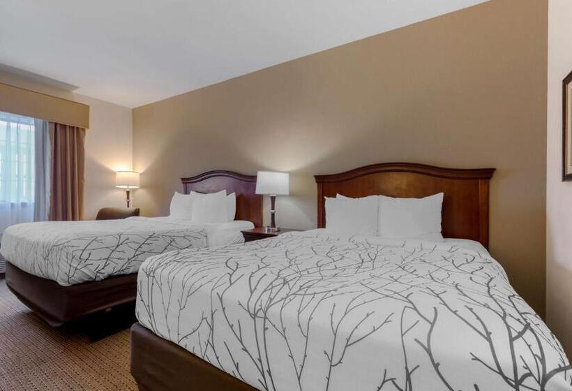 스탠다드 룸, Best Western Plus Sweetwater Inn & Suites