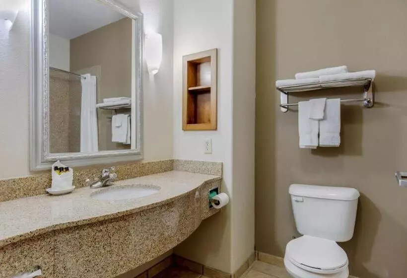 Standard-huone King-vuode, Best Western Plus Sweetwater Inn & Suites