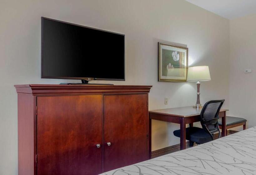 스탠다드 룸 킹사이즈 침대, Best Western Plus Sweetwater Inn & Suites