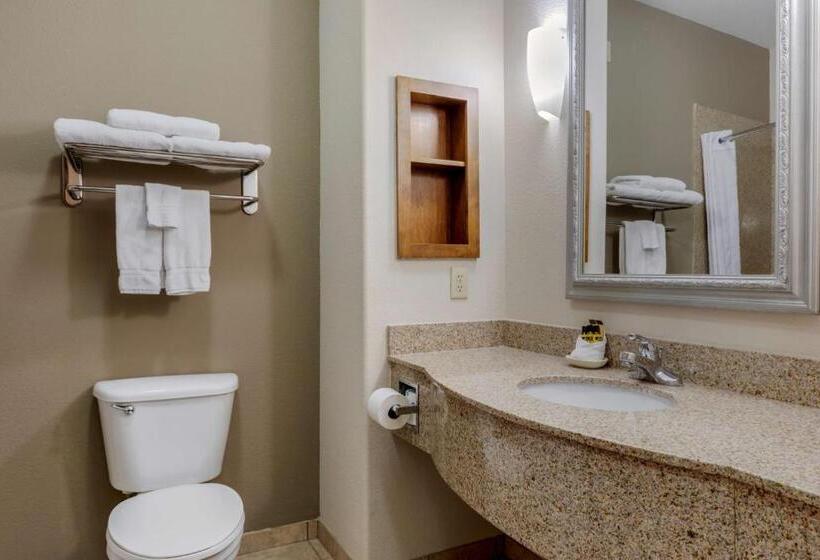 스위트 킹사이즈 침대, Best Western Plus Sweetwater Inn & Suites