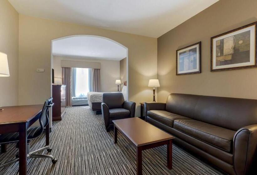 스위트 킹사이즈 침대, Best Western Plus Sweetwater Inn & Suites