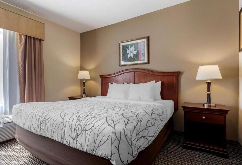 Люкс Кровать Кинг, Best Western Plus Sweetwater Inn & Suites