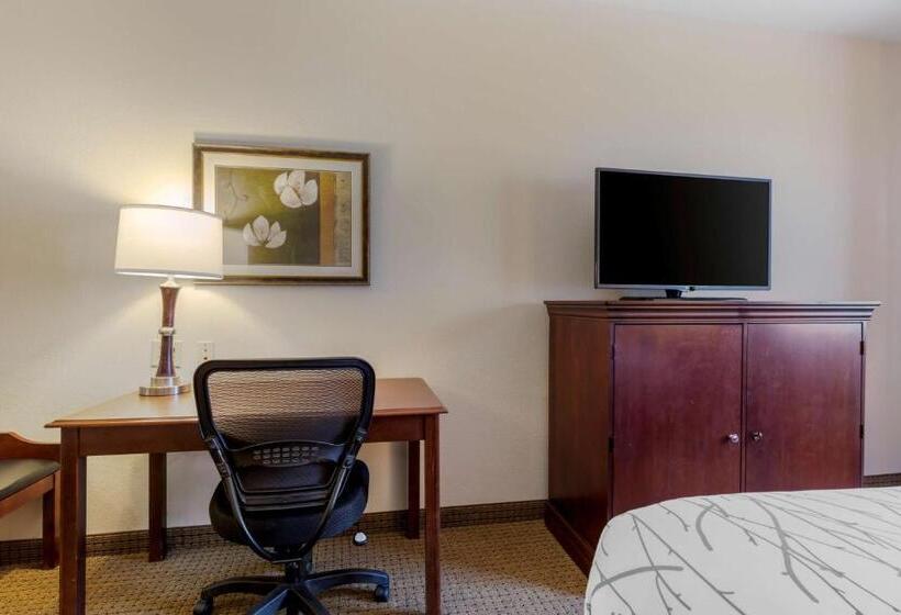 Номер Стандарт Адаптированный для Инвалидов, Best Western Plus Sweetwater Inn & Suites