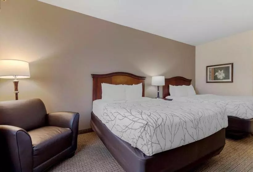 Standard-invahuone, Best Western Plus Sweetwater Inn & Suites