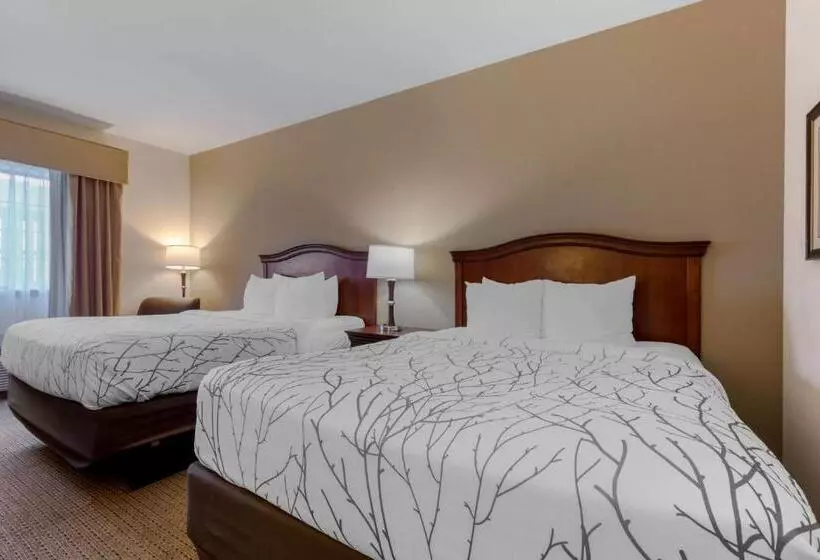 Standard-invahuone, Best Western Plus Sweetwater Inn & Suites