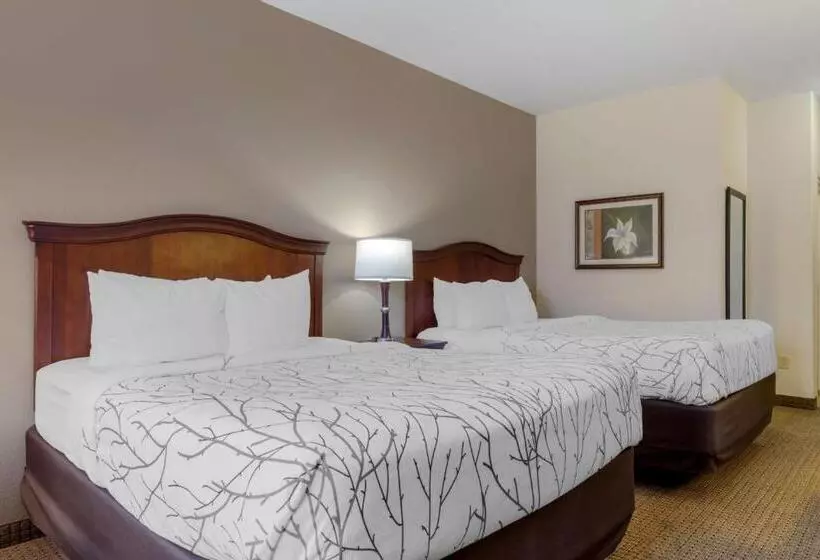 Standard-invahuone, Best Western Plus Sweetwater Inn & Suites