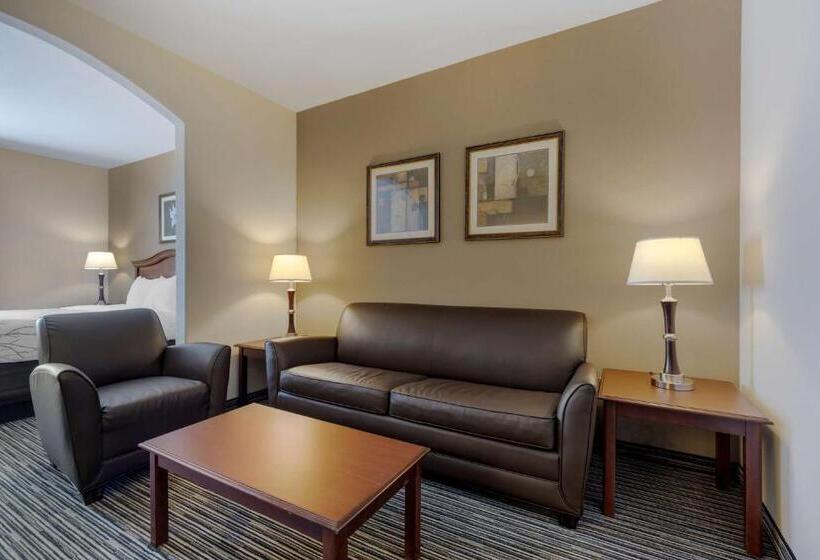 스위트, Best Western Plus Sweetwater Inn & Suites