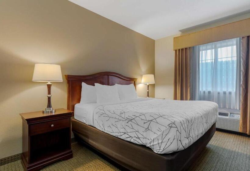 장애인을 위한 킹사이즈 침대 스탠다드 룸, Best Western Plus Sweetwater Inn & Suites