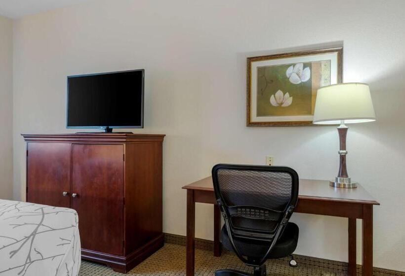 장애인을 위한 킹사이즈 침대 스탠다드 룸, Best Western Plus Sweetwater Inn & Suites