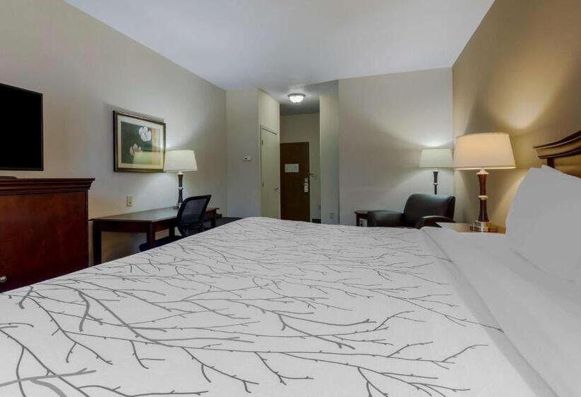 Номер Стандарт Кровать Кинг Адаптированный для Инвалидов, Best Western Plus Sweetwater Inn & Suites