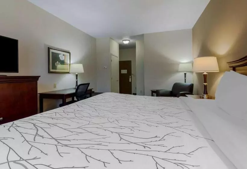 Standard-invahuone King-vuode, Best Western Plus Sweetwater Inn & Suites