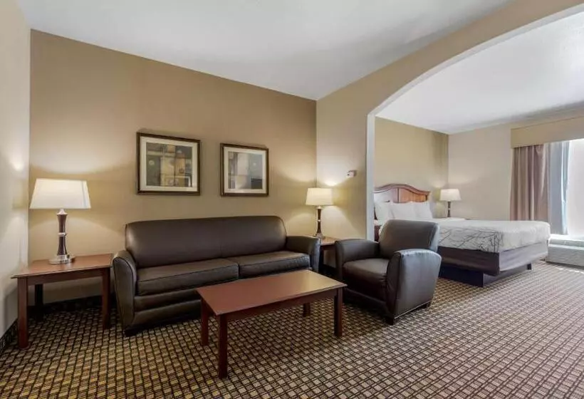 Sviitti Liikuntarajoitteisille, Best Western Plus Sweetwater Inn & Suites