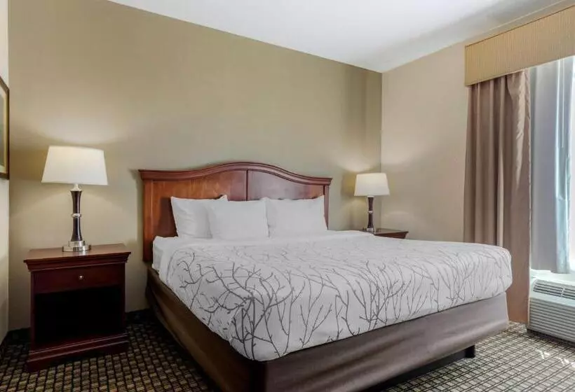 Sviitti Liikuntarajoitteisille, Best Western Plus Sweetwater Inn & Suites