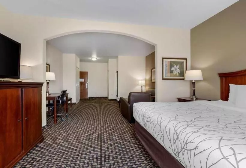Sviitti Liikuntarajoitteisille, Best Western Plus Sweetwater Inn & Suites
