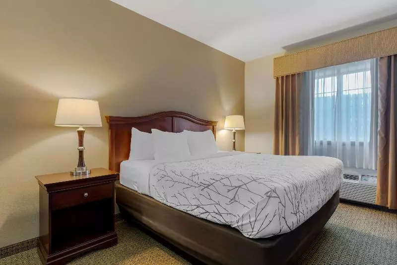 Standard-huone, Best Western Plus Sweetwater Inn & Suites