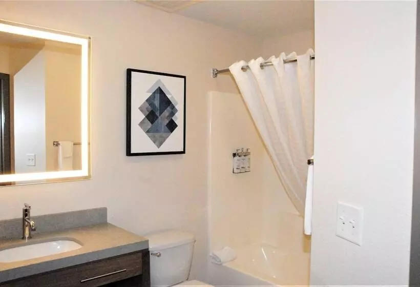 キングサイズベッドのスイートルーム, Candlewood Suites Tallahassee, An Ihg