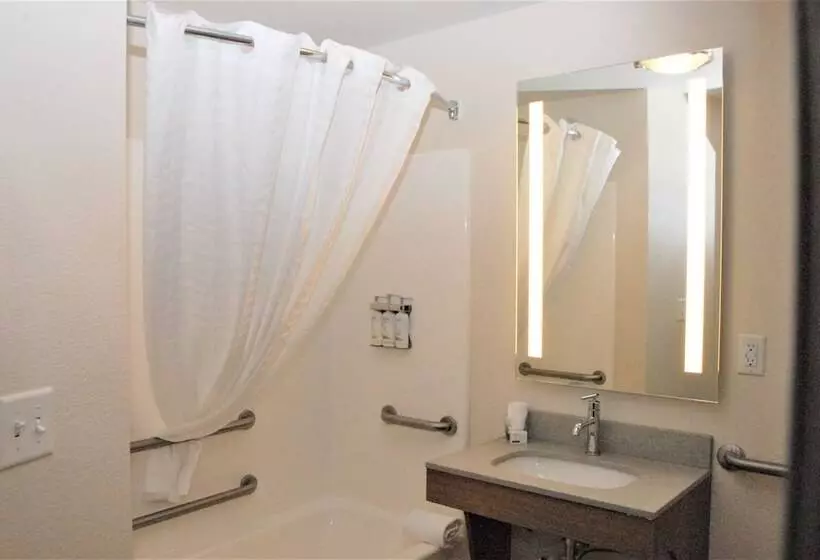 身障者適用スイートルーム, Candlewood Suites Tallahassee, An Ihg
