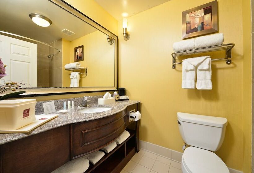 스위트 킹사이즈 침대, Comfort Suites