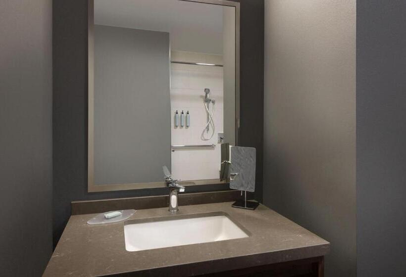 장애인을 위한 킹사이즈 침대 스탠다드 룸, Courtyard Edison Woodbridge