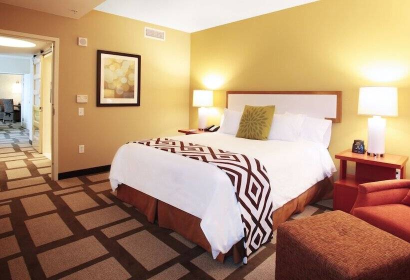 Люкс Адаптированный для Инвалидов, Embassy Suites Houston Downtown
