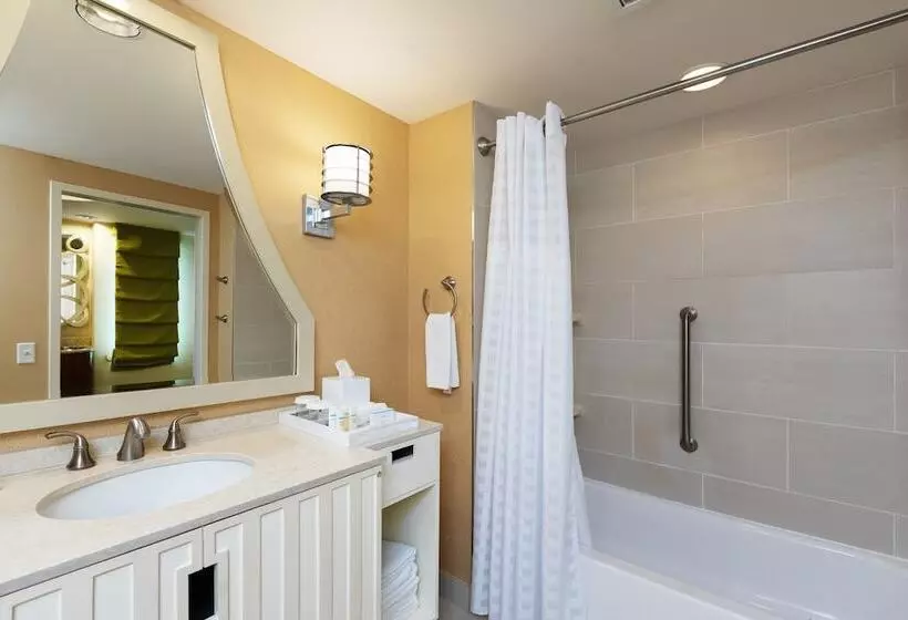 سوئیت برای معلولان, Embassy Suites Houston Downtown