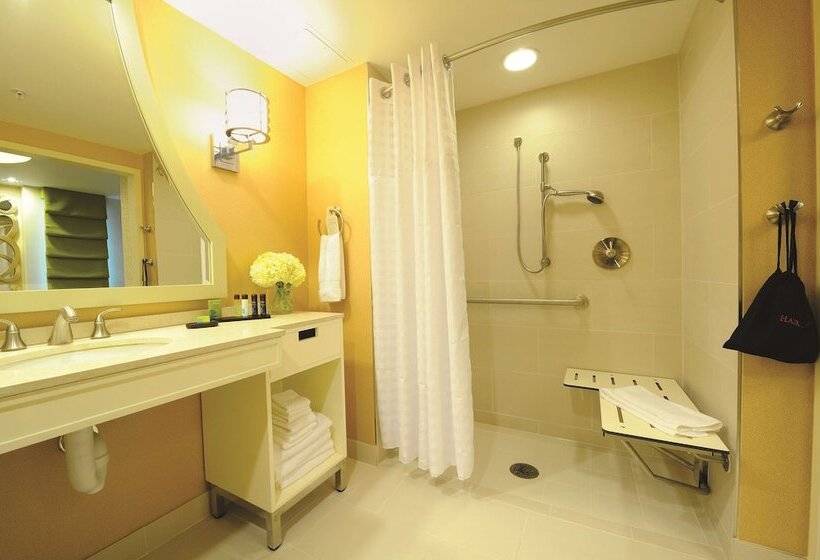 Люкс Адаптированный для Инвалидов, Embassy Suites Houston Downtown