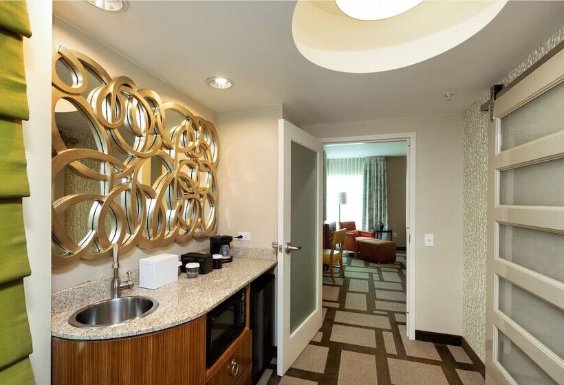 מיטת קינג בסוויטה, Embassy Suites Houston Downtown