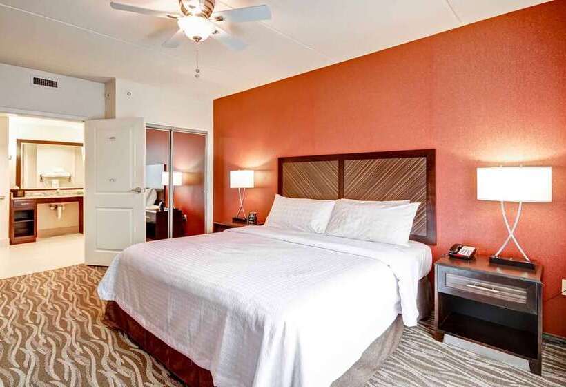 מיטת קינג בסוויטה, Embassy Suites Houston Downtown