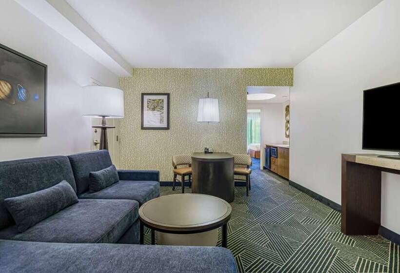 סוויטה, Embassy Suites Houston Downtown