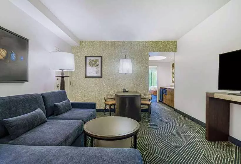 سوییت, Embassy Suites Houston Downtown