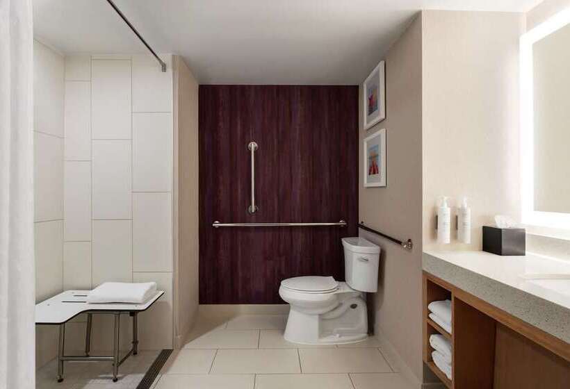 סוויטה, Embassy Suites Houston Downtown