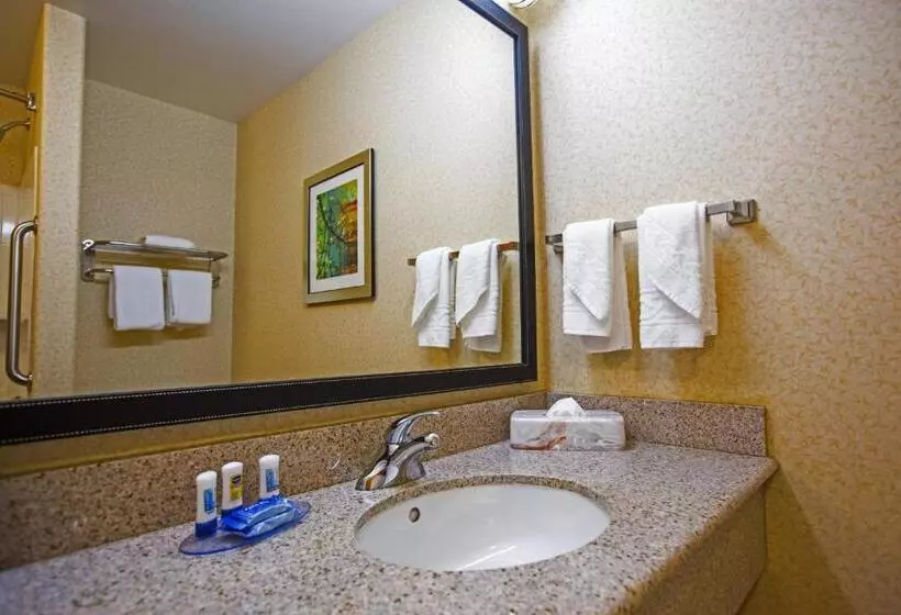 キングサイズベッドのスタンダードルーム, Fairfield Inn & Suites Toledo North
