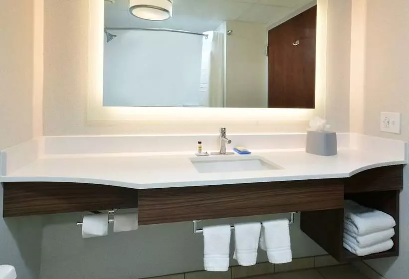 ２ダブルベッドのスタンダードルーム, Holiday Inn Express Raleigh Durham Airport, An Ihg