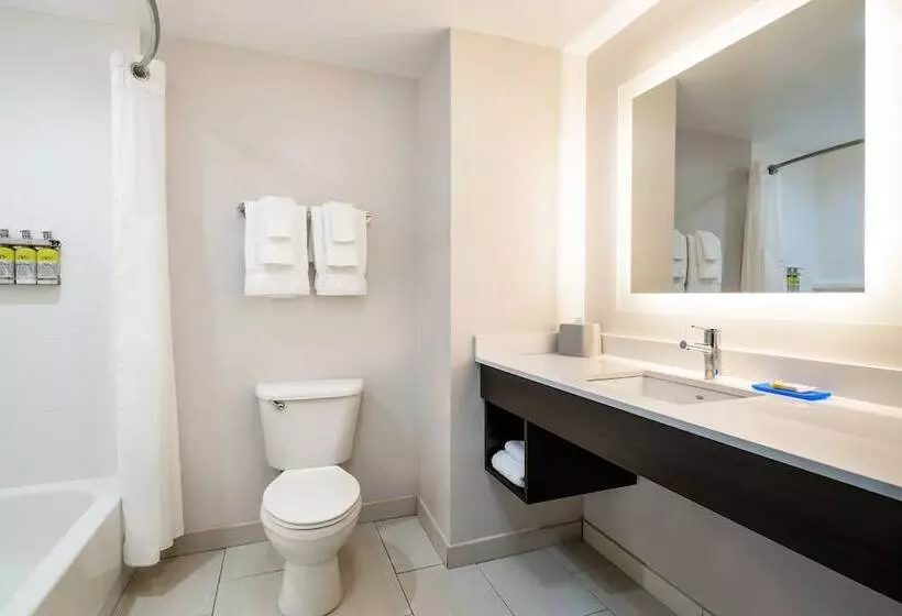 スイート, Holiday Inn Express & Suites Florence, An Ihg