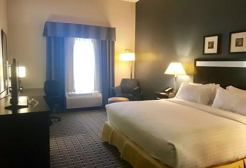 スタンダードルーム, Holiday Inn Express & Suites Morton Peoria Area, An Ihg