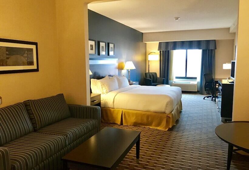 スイート, Holiday Inn Express & Suites Morton Peoria Area, An Ihg