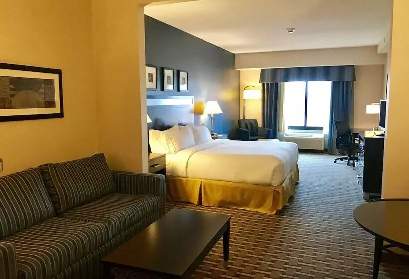 スイート, Holiday Inn Express & Suites Morton Peoria Area, An Ihg
