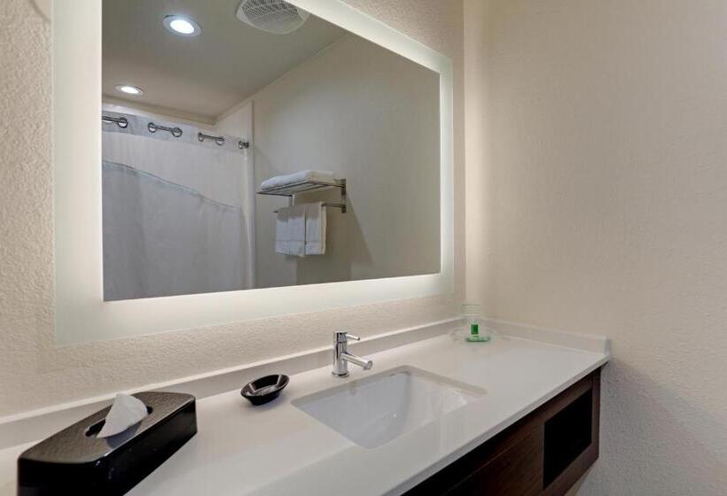 스탠다드 룸, Holiday Inn Mobile Airport, An Ihg