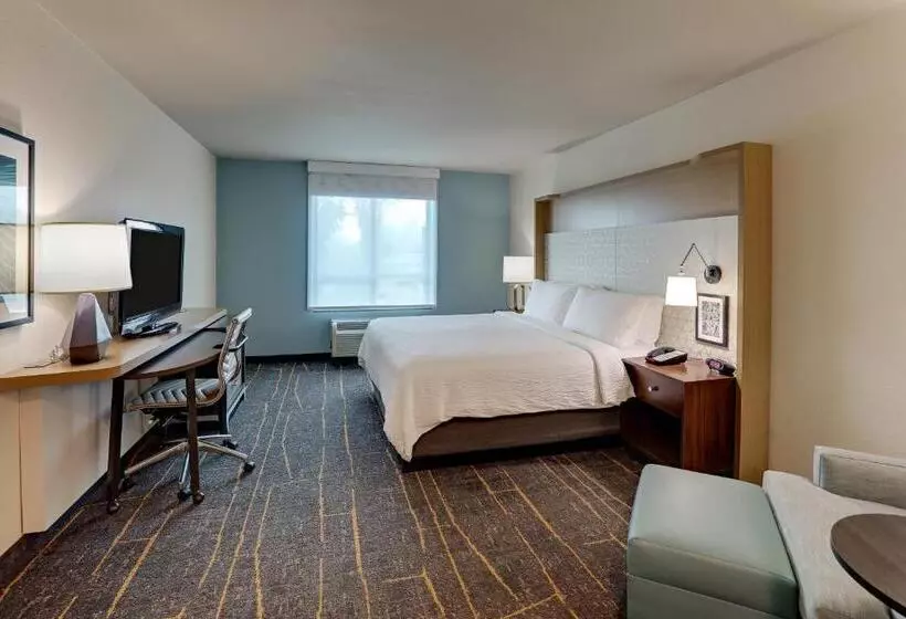 キングサイズベッドのスタンダードルーム, Holiday Inn Mobile Airport, An Ihg