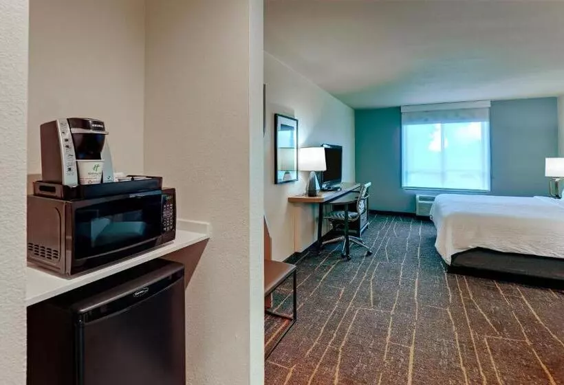キングサイズベッドのスタンダードルーム, Holiday Inn Mobile Airport, An Ihg