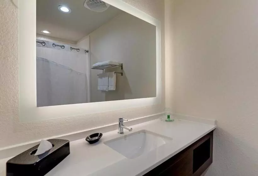 キングサイズベッドのスタンダードルーム, Holiday Inn Mobile Airport, An Ihg