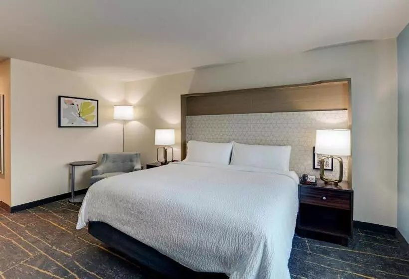 キングサイズベッドのスタンダードルーム, Holiday Inn Mobile Airport, An Ihg