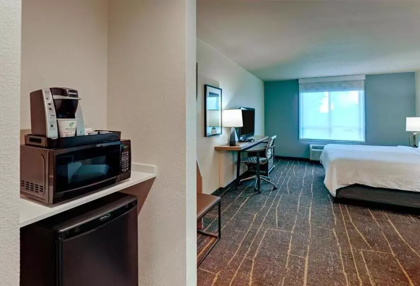 キングサイズベッドのスタンダードルーム, Holiday Inn Mobile Airport, An Ihg