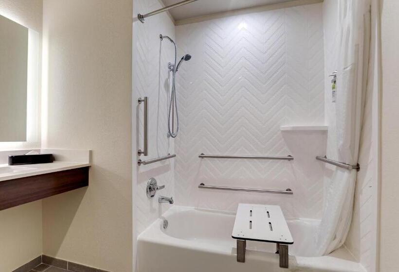 适用于残疾人士的豪华房间, Holiday Inn Mobile Airport, An Ihg