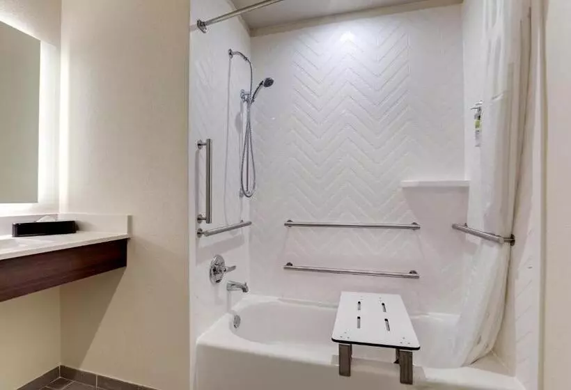 障害者適応デラックスルーム, Holiday Inn Mobile Airport, An Ihg
