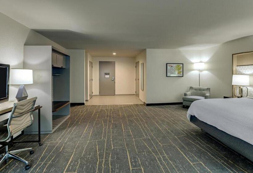 适用于残疾人士的豪华房间, Holiday Inn Mobile Airport, An Ihg