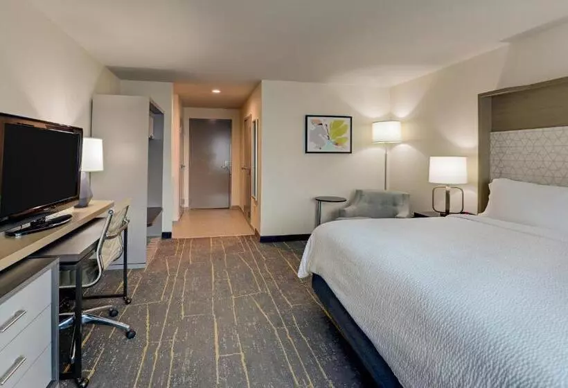 身障者適用キングサイズベッドルーム, Holiday Inn Mobile Airport, An Ihg